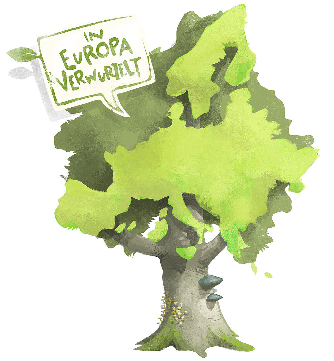 UNESCO-Welterbe Buchenwälder Europa Grafik: UNESCO-Welterbe Buchenwälder Europa
