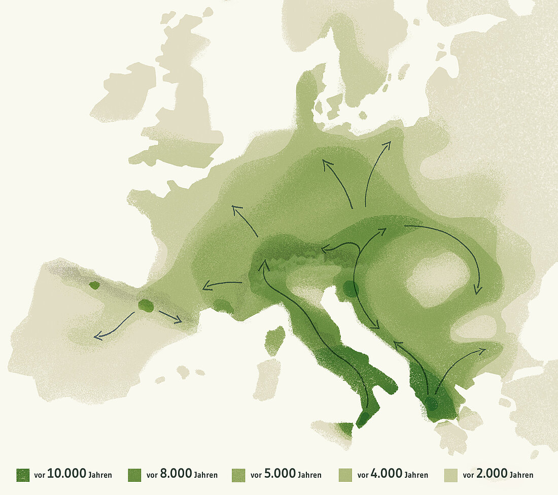 Grafik: Weltnaturerbe Buchenwälder, Ausbreitung