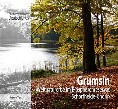 Buchtitel: Grumsin - Weltnaturerbe im Biosphärenreservat Schorfheide-Chorin
