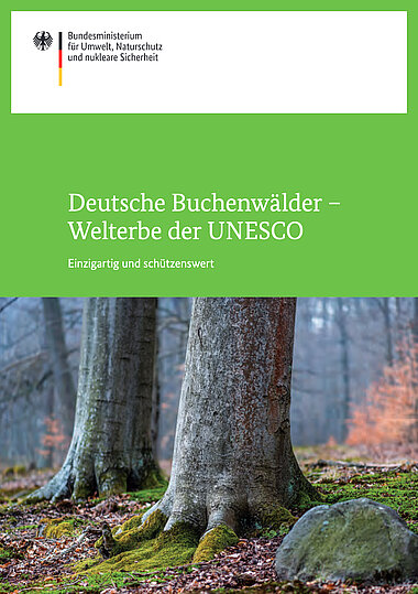 Broschürentitel: Deutsche Buchenwälder – Welterbe der UNESCO, Einzigartig und schützenswert