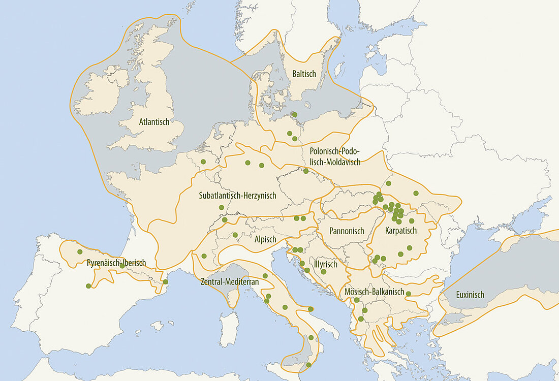 Europakartekarte: Buchenwaldtypen in Europa und Lage der Teilgebiete der Welterbestätte
