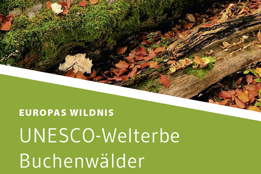 Faltblatt UNESCO Weltnaturerbe Buchenwälder (dt.) Titel Faltblatt UNESCO-Weltnaturerbe Buchenwälder