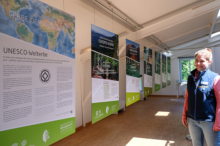 Foto: Ausstellung UNESCO-Weltnaturerbe Buchenwälder im Nationalpark Jasmund